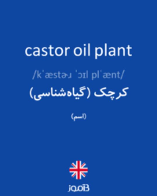  تصویر castor oil plant - دیکشنری انگلیسی بیاموز