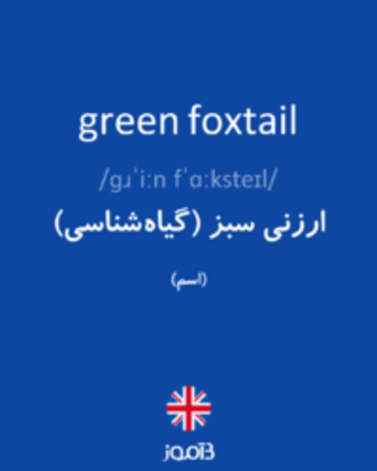  تصویر green foxtail - دیکشنری انگلیسی بیاموز