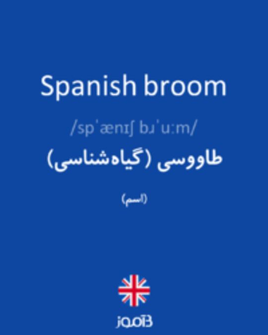  تصویر Spanish broom - دیکشنری انگلیسی بیاموز