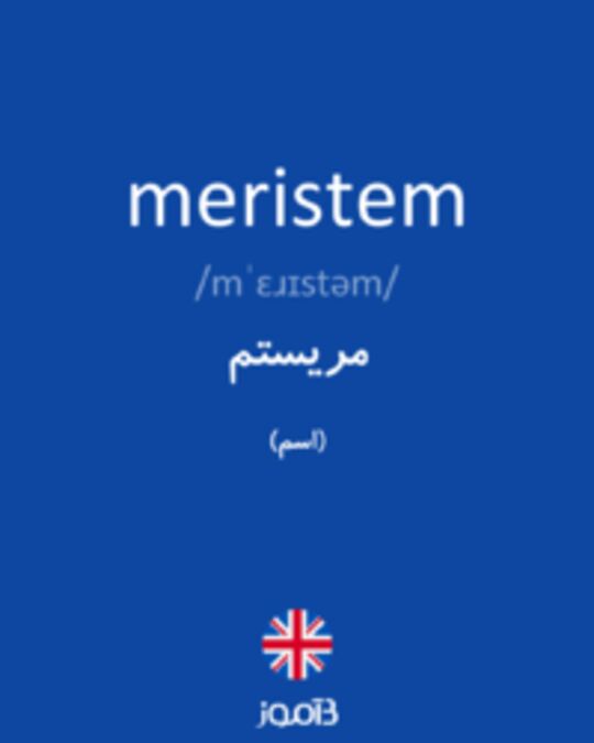  تصویر meristem - دیکشنری انگلیسی بیاموز