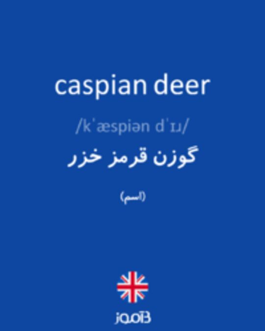  تصویر caspian deer - دیکشنری انگلیسی بیاموز