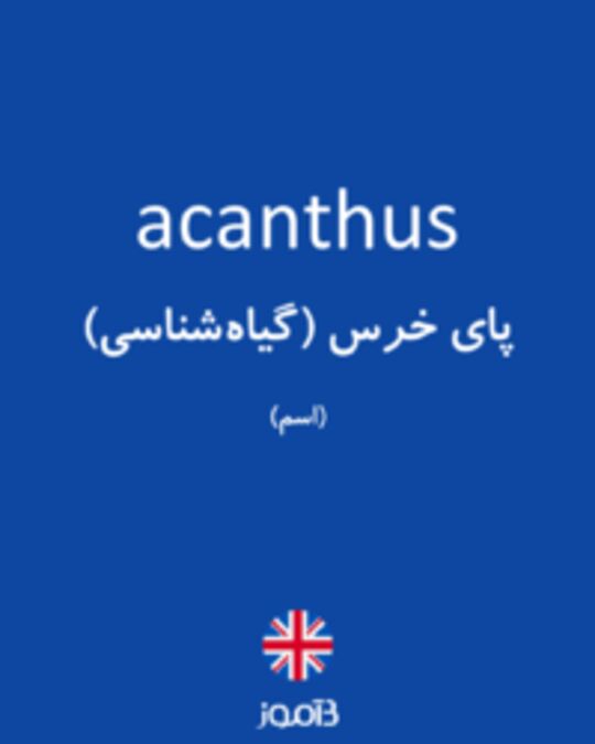  تصویر acanthus - دیکشنری انگلیسی بیاموز