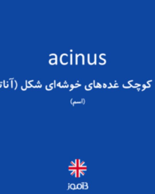  تصویر acinus - دیکشنری انگلیسی بیاموز