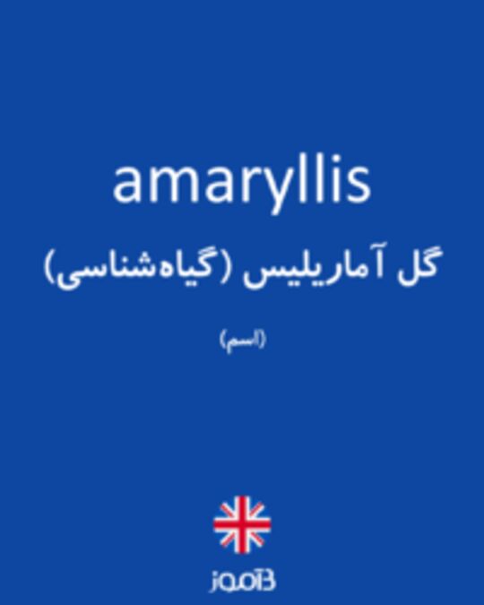  تصویر amaryllis - دیکشنری انگلیسی بیاموز