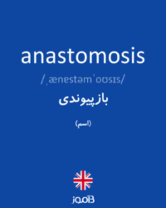  تصویر anastomosis - دیکشنری انگلیسی بیاموز