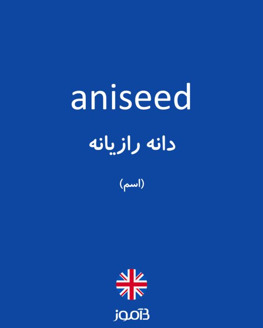ترجمه کلمه aniseed به فارسی | دیکشنری انگلیسی بیاموز