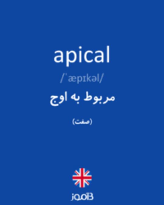  تصویر apical - دیکشنری انگلیسی بیاموز