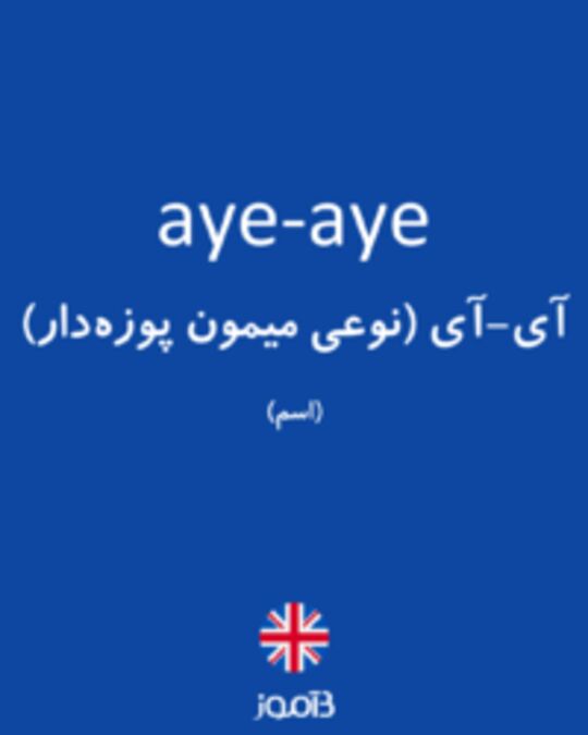  تصویر aye-aye - دیکشنری انگلیسی بیاموز