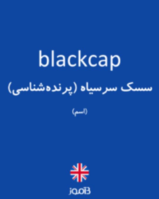  تصویر blackcap - دیکشنری انگلیسی بیاموز