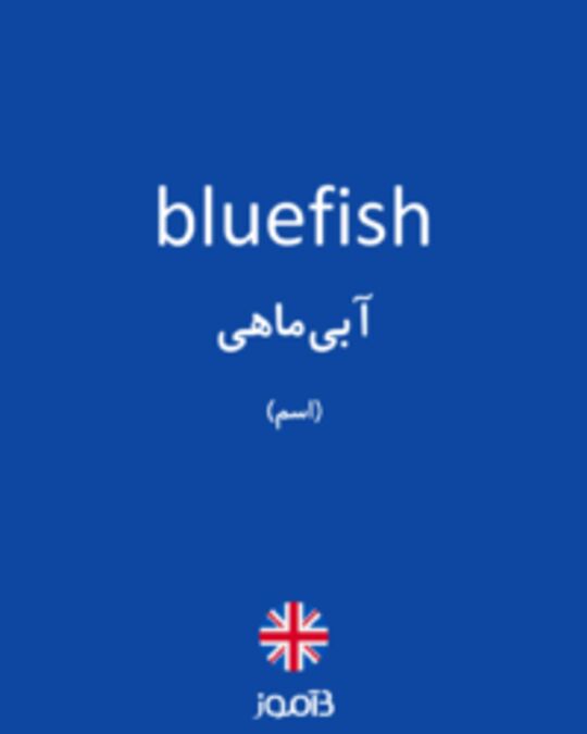  تصویر bluefish - دیکشنری انگلیسی بیاموز