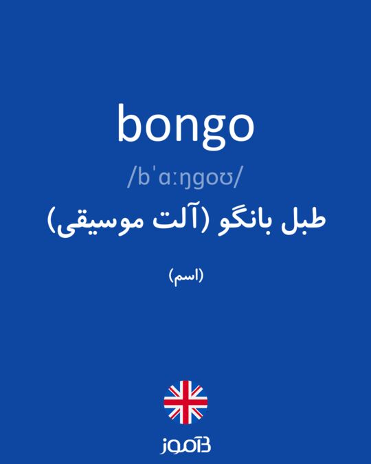 bongo