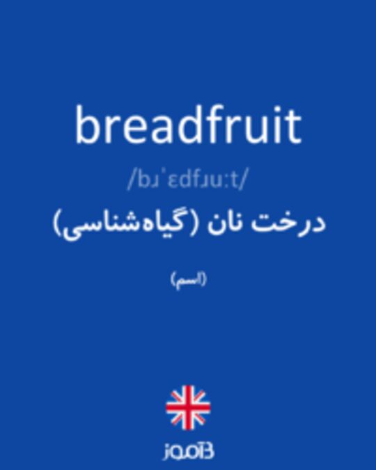  تصویر breadfruit - دیکشنری انگلیسی بیاموز
