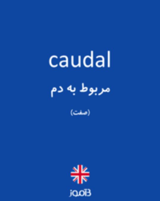  تصویر caudal - دیکشنری انگلیسی بیاموز