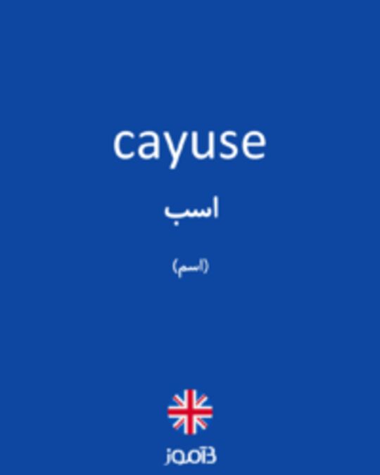  تصویر cayuse - دیکشنری انگلیسی بیاموز