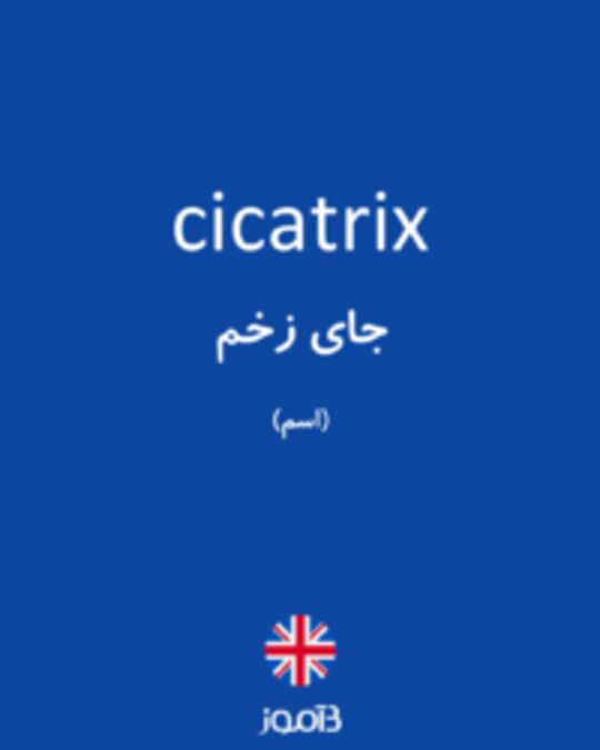  تصویر cicatrix - دیکشنری انگلیسی بیاموز