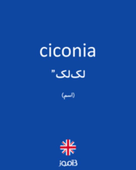  تصویر ciconia - دیکشنری انگلیسی بیاموز