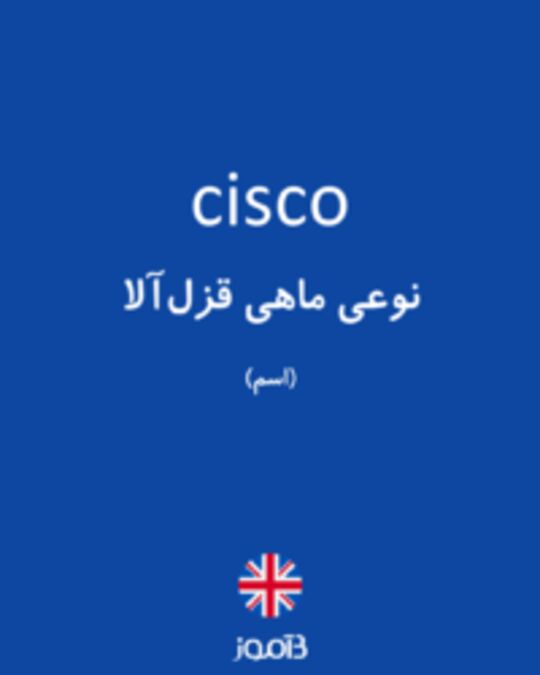  تصویر cisco - دیکشنری انگلیسی بیاموز