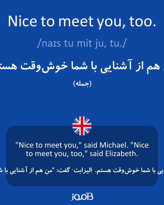 что такое Nice To Meet You Too