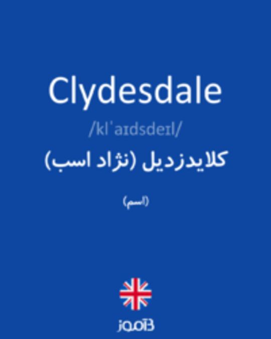  تصویر Clydesdale - دیکشنری انگلیسی بیاموز