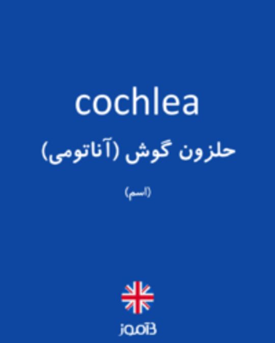  تصویر cochlea - دیکشنری انگلیسی بیاموز