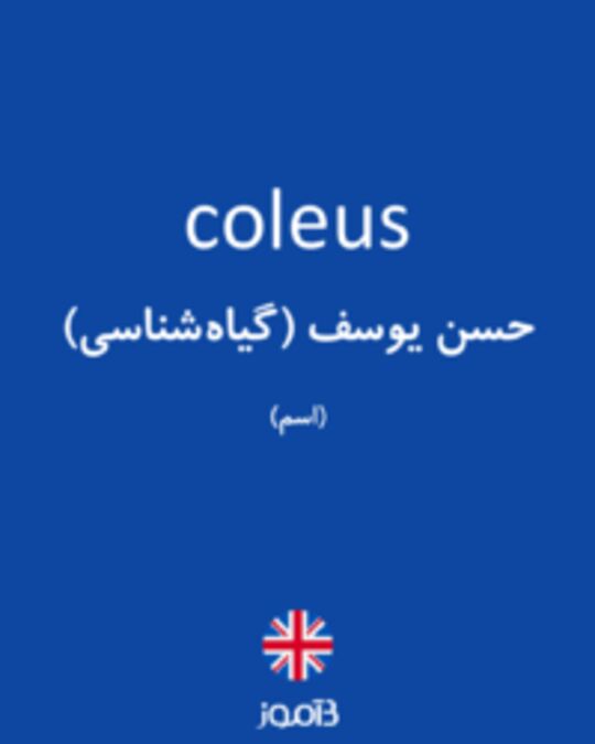  تصویر coleus - دیکشنری انگلیسی بیاموز