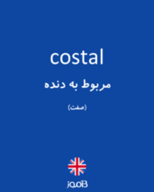  تصویر costal - دیکشنری انگلیسی بیاموز