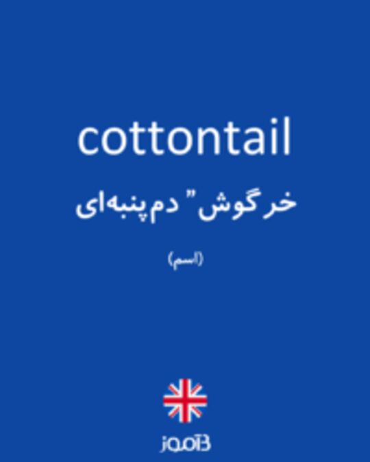  تصویر cottontail - دیکشنری انگلیسی بیاموز