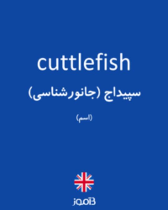  تصویر cuttlefish - دیکشنری انگلیسی بیاموز