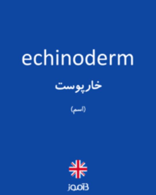  تصویر echinoderm - دیکشنری انگلیسی بیاموز