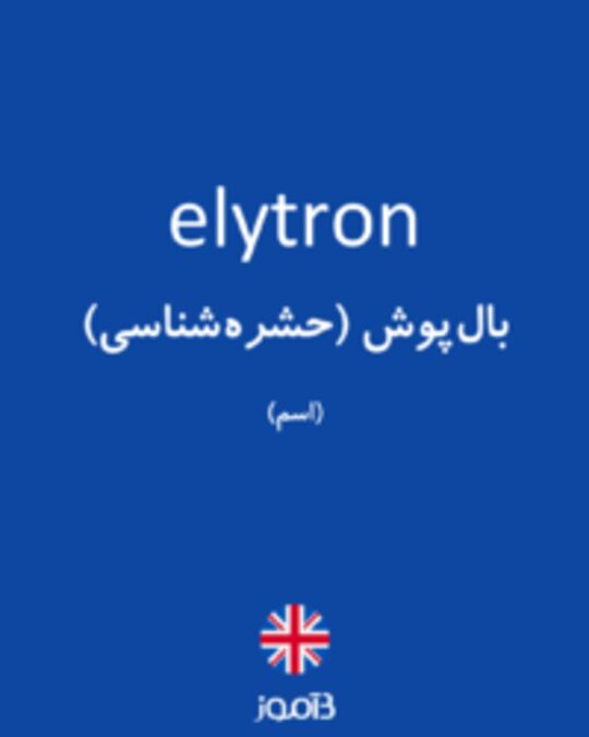  تصویر elytron - دیکشنری انگلیسی بیاموز