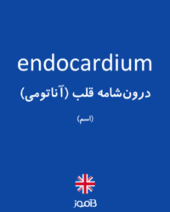  تصویر endocardium - دیکشنری انگلیسی بیاموز