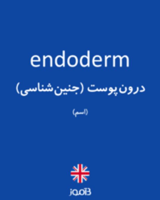  تصویر endoderm - دیکشنری انگلیسی بیاموز