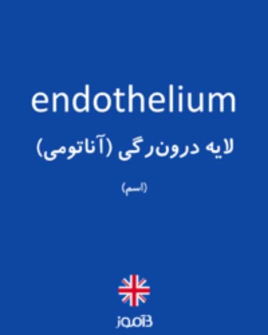  تصویر endothelium - دیکشنری انگلیسی بیاموز