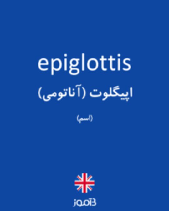  تصویر epiglottis - دیکشنری انگلیسی بیاموز