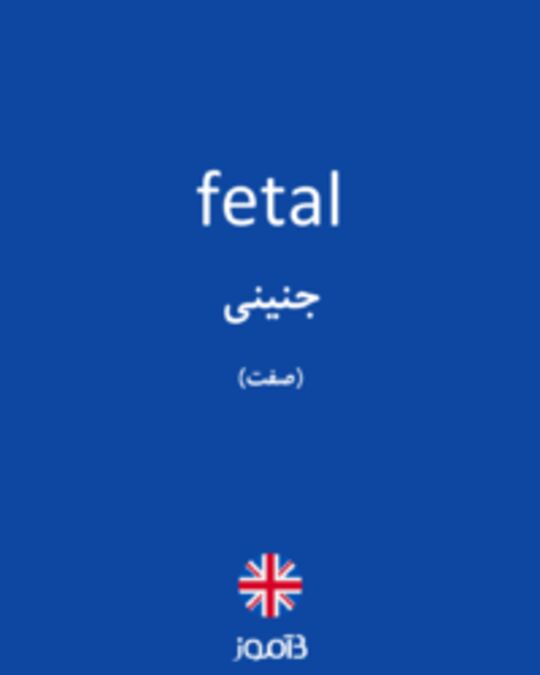  تصویر fetal - دیکشنری انگلیسی بیاموز