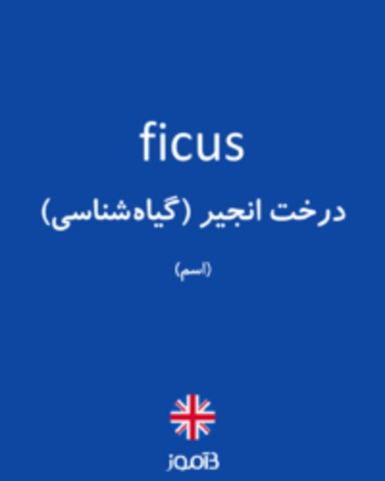  تصویر ficus - دیکشنری انگلیسی بیاموز