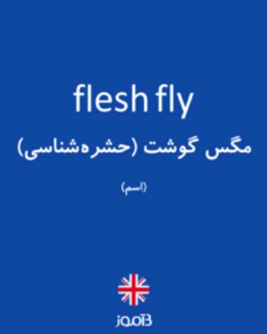  تصویر flesh fly - دیکشنری انگلیسی بیاموز