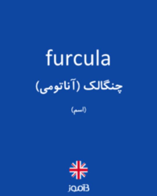 تصویر furcula - دیکشنری انگلیسی بیاموز