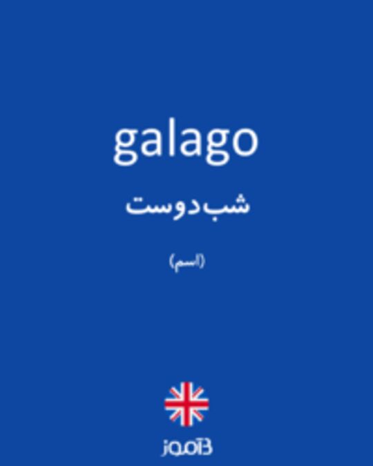  تصویر galago - دیکشنری انگلیسی بیاموز