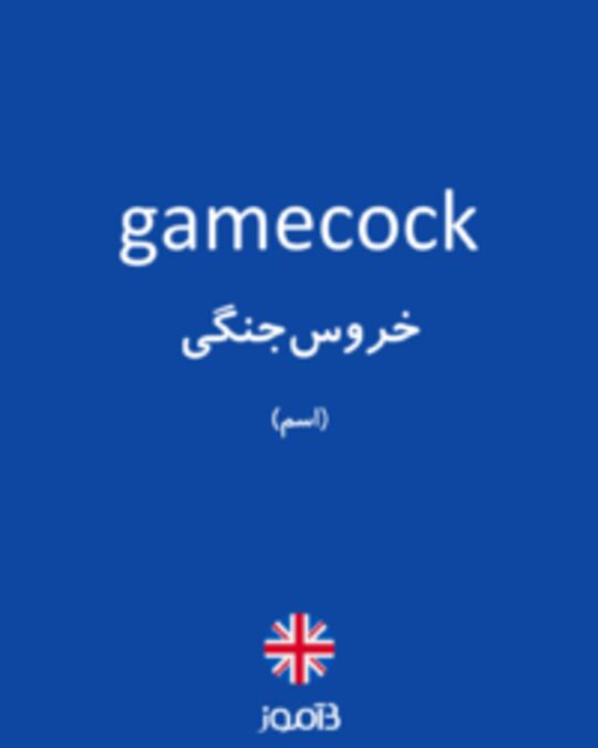  تصویر gamecock - دیکشنری انگلیسی بیاموز