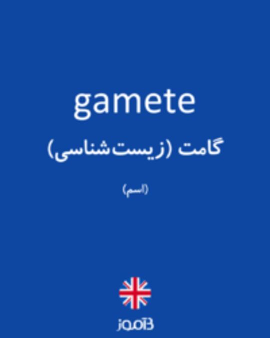  تصویر gamete - دیکشنری انگلیسی بیاموز