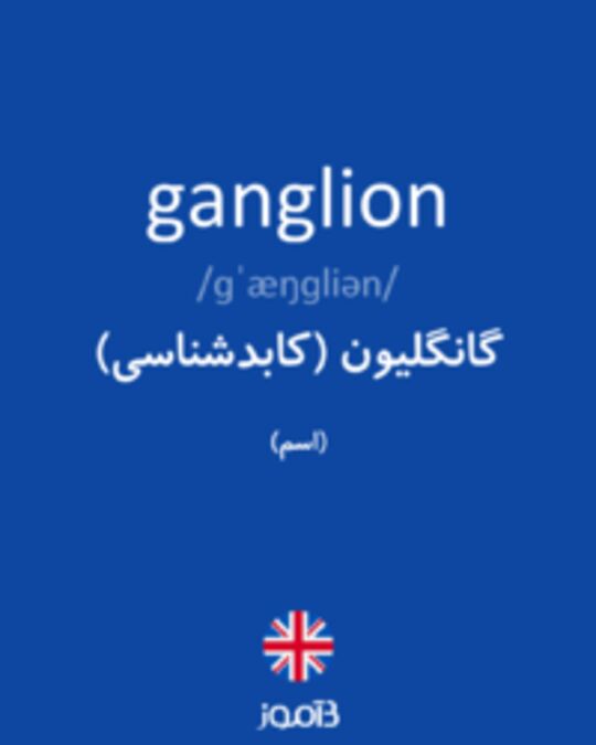  تصویر ganglion - دیکشنری انگلیسی بیاموز