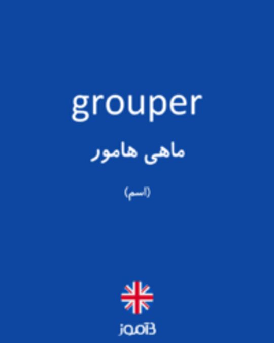  تصویر grouper - دیکشنری انگلیسی بیاموز