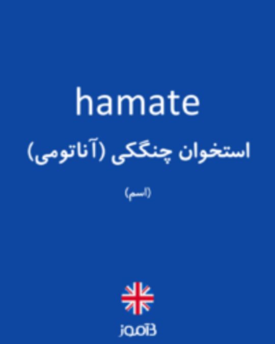  تصویر hamate - دیکشنری انگلیسی بیاموز