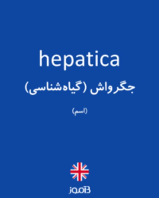  تصویر hepatica - دیکشنری انگلیسی بیاموز