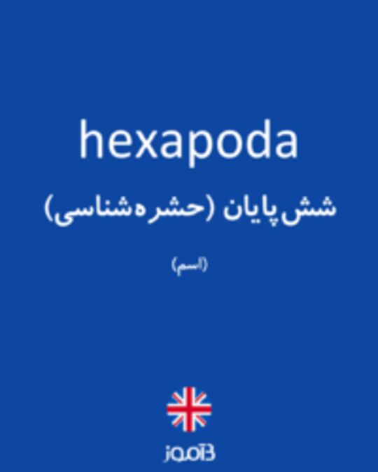  تصویر hexapoda - دیکشنری انگلیسی بیاموز