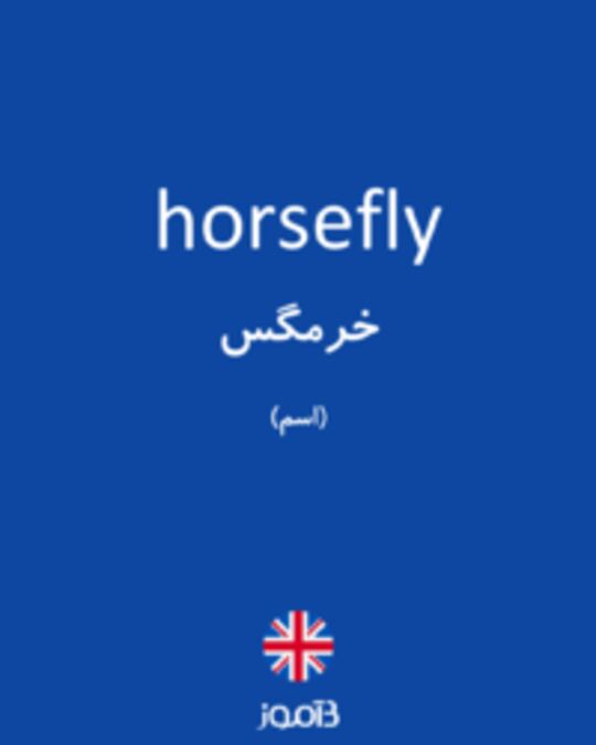  تصویر horsefly - دیکشنری انگلیسی بیاموز