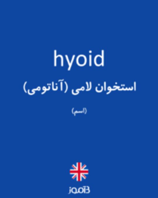  تصویر hyoid - دیکشنری انگلیسی بیاموز