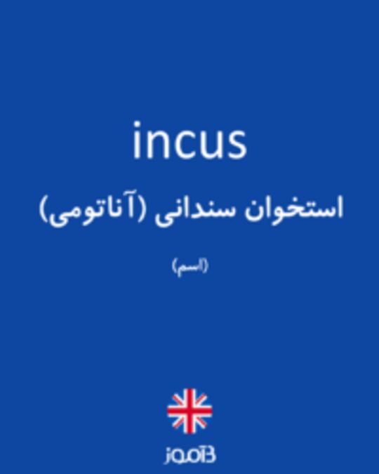  تصویر incus - دیکشنری انگلیسی بیاموز