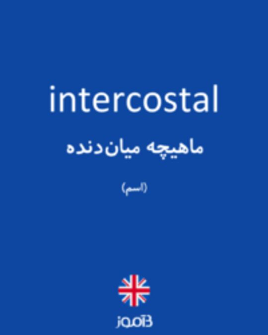  تصویر intercostal - دیکشنری انگلیسی بیاموز